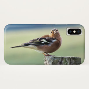 CHAFFINCH iPhone X CASE