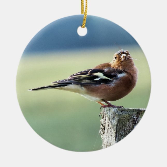 CHAFFINCH CERAMIC TREE DECORATION (Front)