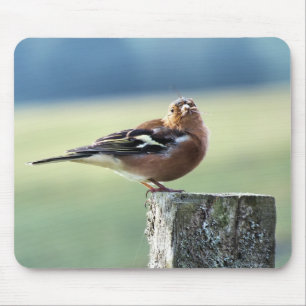 CHAFFINCH MOUSE MAT