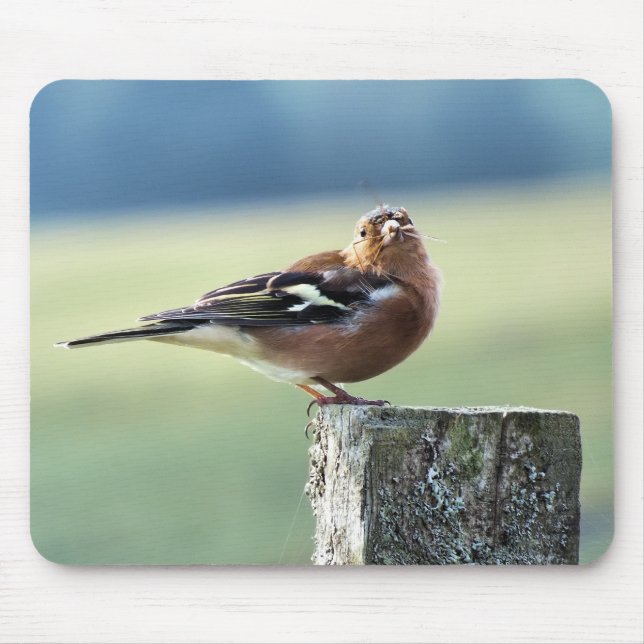 CHAFFINCH MOUSE MAT (Front)