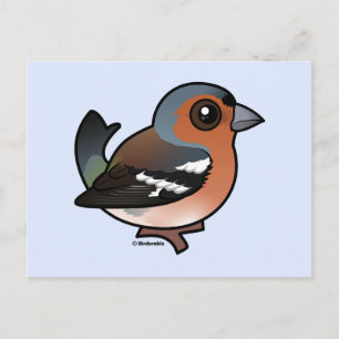Chaffinch Postcard