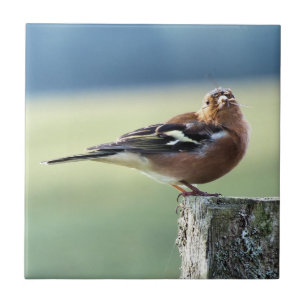 CHAFFINCH TILE