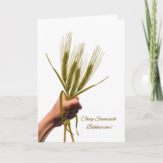 Chag Sameach Bikkurim First Fruits with Wheat Card (Front)