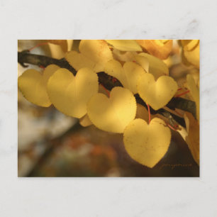 chain of hearts postcard