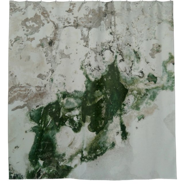 Chaina Shower Curtain (Front)