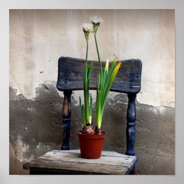 Chair and Flower Poster (Front)