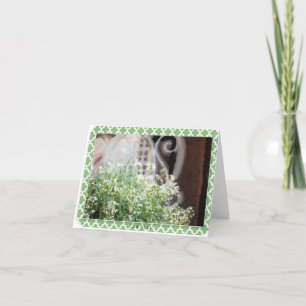 Chair & Lace blank notecard & envelope lk