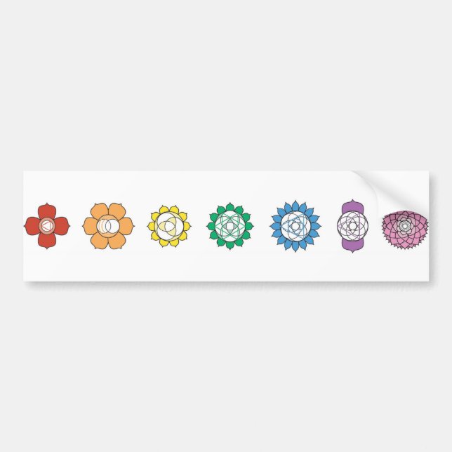 Chakra Strip Bumper Sticker (Front)