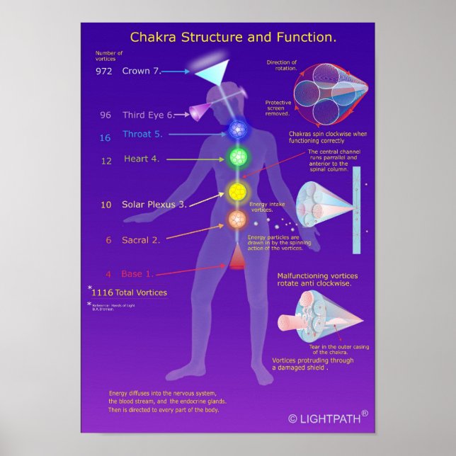 Chakra Structure and Function Poster (Front)