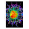 Chakra Sun Print