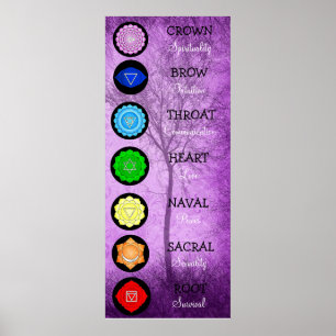 Chakras Centres Chart Chi Energy