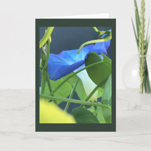 Chalice-of-Blue Morning Glory Blank Card