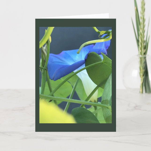 Chalice-of-Blue Morning Glory Blank  Card (Front)