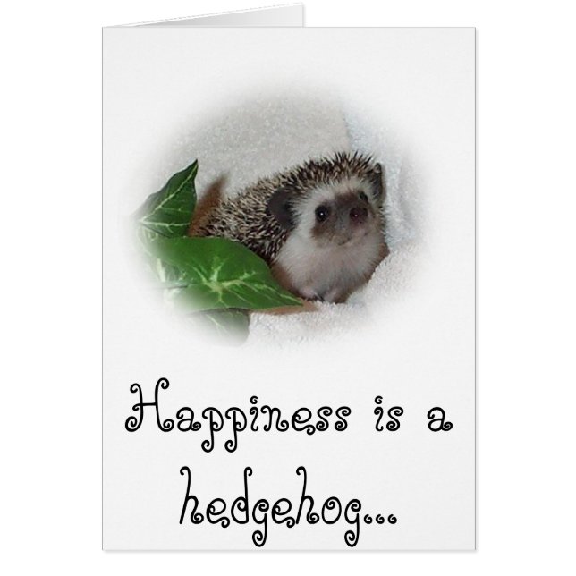 Chalice the Hedgehog (Front)