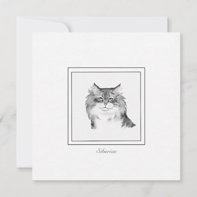 Chalk Drawing of a Siberian Cat Flat Note Card (Front)