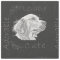 Chalk Drawing of Golden Retriever
