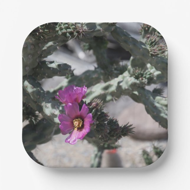 Challa Cactus in bloom  Paper Plate (Front)