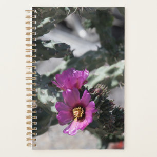 Challa Cactus in bloom Planner