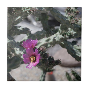 Challa Cactus in bloom Tile