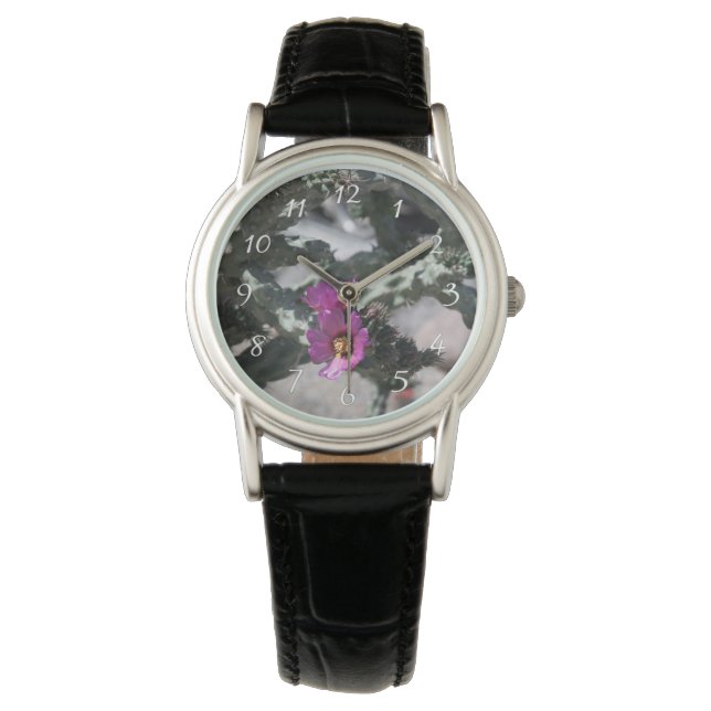 Challa Cactus in bloom  Watch (Front)