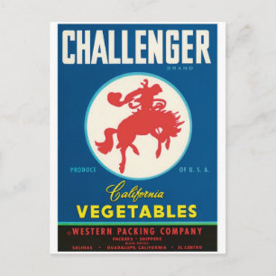 Challenger Rodeo Salinas El Centro Guadalupe CA Postcard