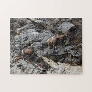 Challenging Bighorn Sheep Georgetown Colorado Jigsaw Puzzle