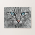 Challenging Grey Tabby Cat with Blue Eyes Jigsaw Puzzle<br><div class="desc">With the various shades of grey,  on this tabby cat,  it may prove challenging for some. But I know you love a difficult puzzle. With striking blue eyes,  this close up cat image will be an ideal way for all cat lovers to have a peaceful time.</div>