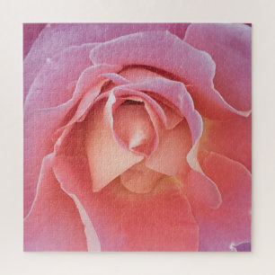 Challenging Pink Rose Jigsaw Puzzle