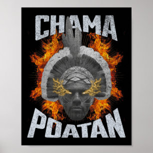 Chama Paotan Mma Fan Jjb Boxing Muay Thai Poster