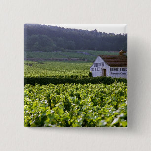 Chambertin Clos de Beze Grand Cru vineyard with 15 Cm Square Badge