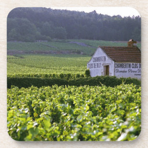 Chambertin Clos de Beze Grand Cru vineyard with Coaster