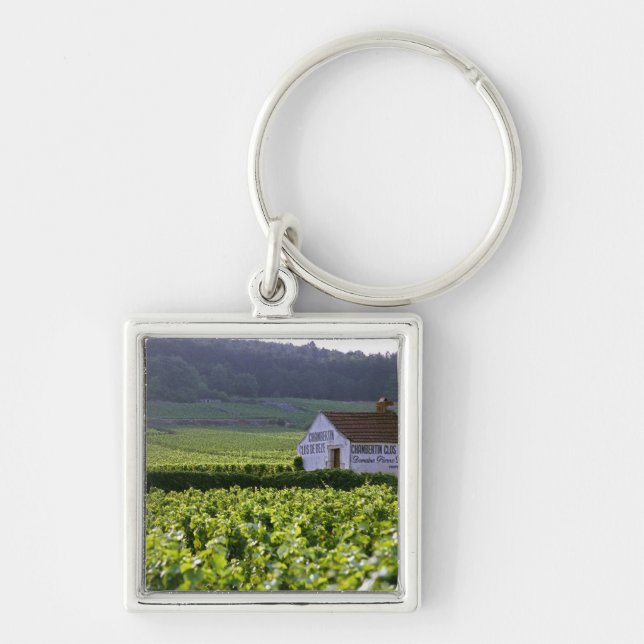 Chambertin Clos de Beze Grand Cru vineyard with Key Ring (Front)