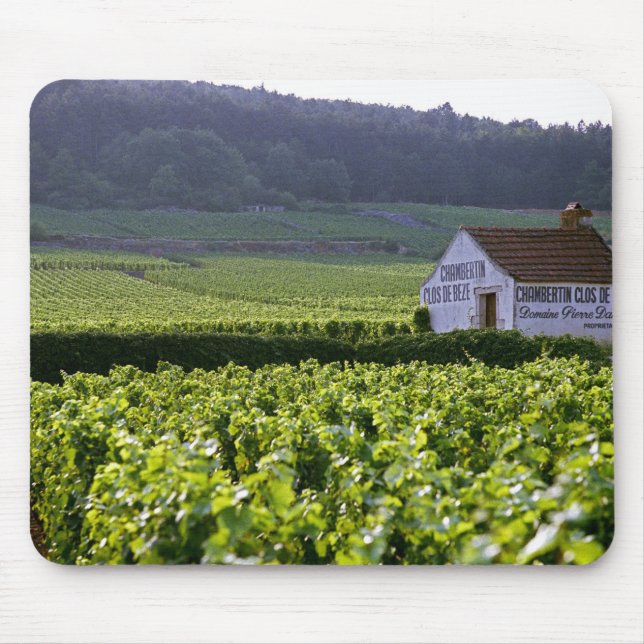 Chambertin Clos de Beze Grand Cru vineyard with Mouse Mat (Front)