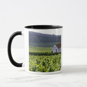 Chambertin Clos de Beze Grand Cru vineyard with Mug