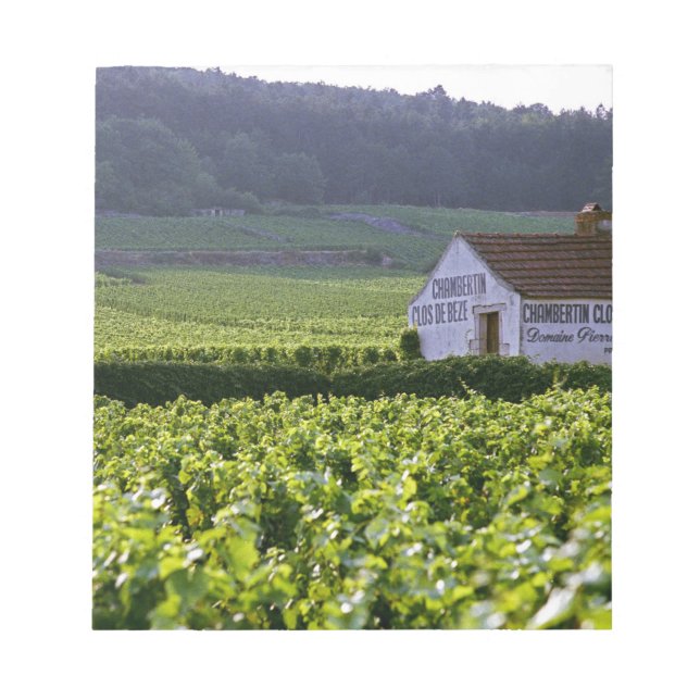 Chambertin Clos de Beze Grand Cru vineyard with Notepad (Front)