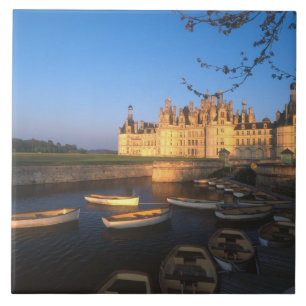 Chambord Chateau, Loire Valley, Loir-et-Cher, Tile