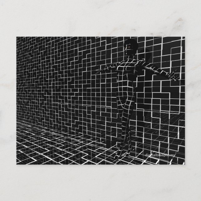 Chamelea Postcard (Front)