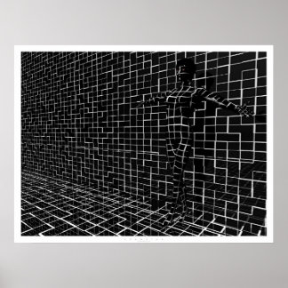 Chamelea Poster