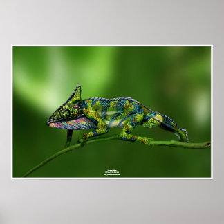 Chameleon by Johannes Stötter Poster