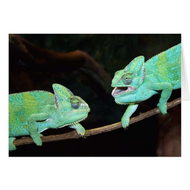 Chameleon Card (Front Horizontal)