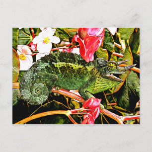 Chameleon Charisma Postcard