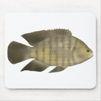 Chameleon Cichlid Mouse Mat