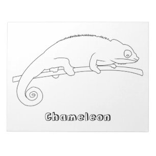 Chameleon colouring notepads fun activity