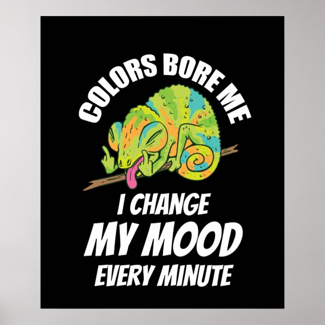 Chameleon - Colours Are Boring Poster (Front)