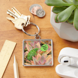 CHAMELEON, "Don't Lose Us" Key Ring