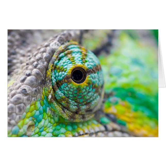 Chameleon eye (Front Horizontal)