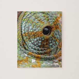 Chameleon Eye Mod Stylish Animal Jigsaw Puzzle