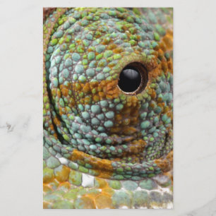 Chameleon Eye Mod Stylish Animal Stationery