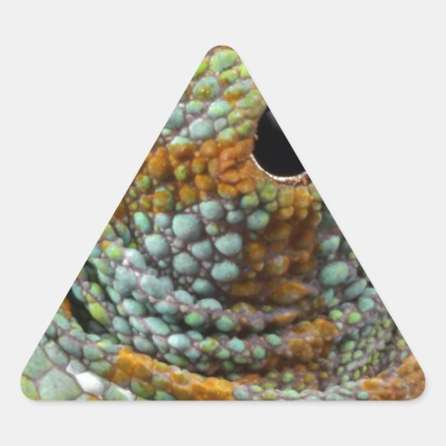Chameleon Eye Mod Stylish Animal Triangle Sticker (Front)