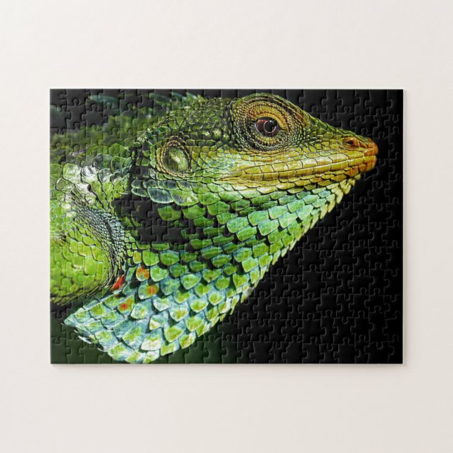 Chameleon Head Close-up, Jigsaw Puzzle (Horizontal)